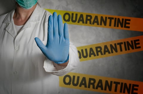  quarantine 