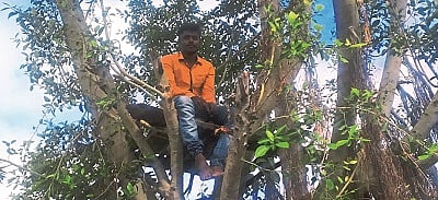 The young man from Ghanand was quarantined on tree
