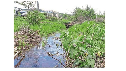 R. K. The width of the city stream decreased