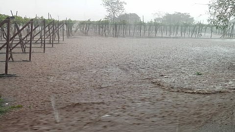 rain