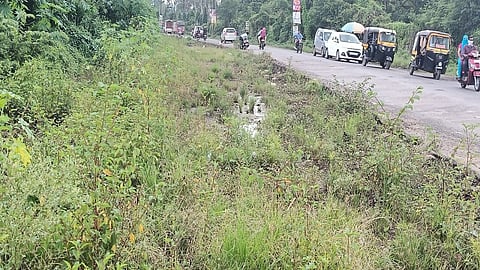 road.jpg