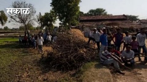 Fear in people of Moharana bhandara district due to tiger 