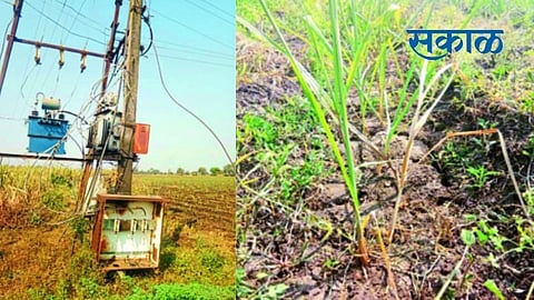 mahavitaran farmer