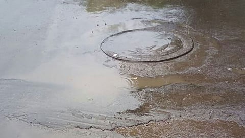 sangavi