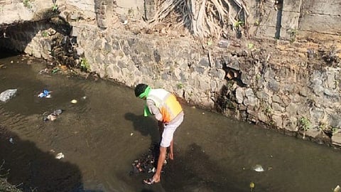 sanitation worker