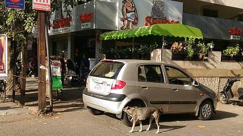 satara-rsata.jpg