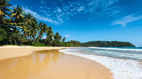 save the sea information article in sindhudurg