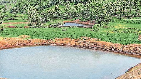 pond