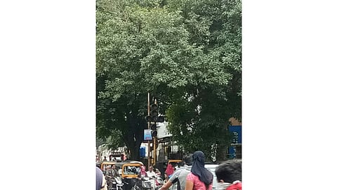 signal.jpg
