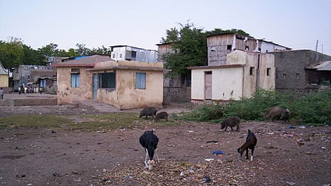 slum.jpg