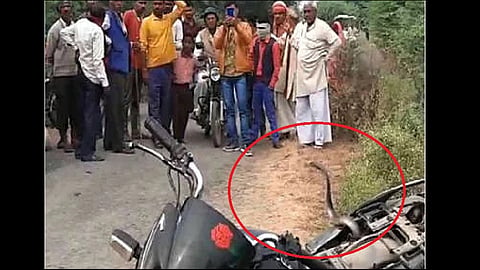 angry cobra captures bike after after tale  injured at uttar pradesh