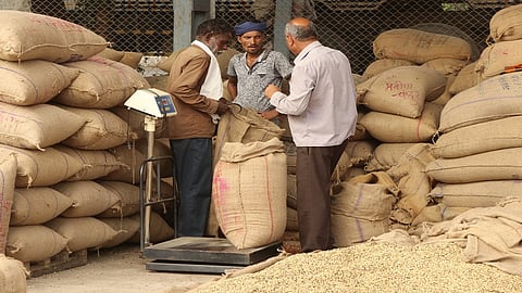 soyabean mapai (2).JPG
