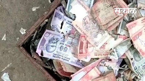 termites eat money