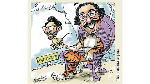 ढिंग टांग :  वाघाचे दिवस! (एक अरण्यकथा...)