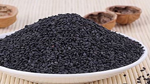 varieties of black sesame developed in konkan with the help of agricultural university in ratnagiri