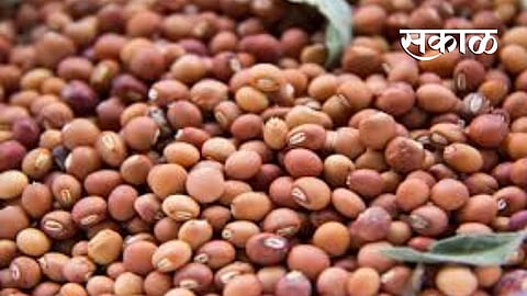 toor rate increases in private market of yavatmal