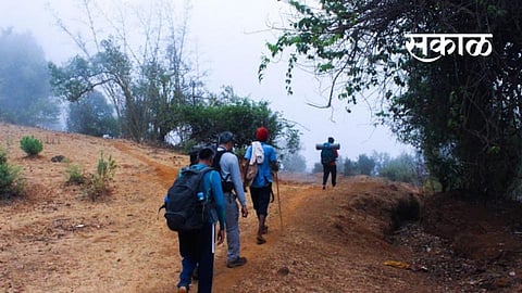 While the state government is trying to promote tourism only four tourists are being allowed to roam in the Pench Tiger Reserve