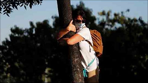israel nature and parks authority suggests hug a tree at corona time
