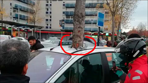 video viral of tree growing out of car is an art installation