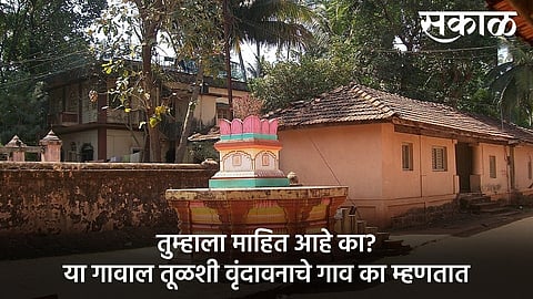 tulsi vrindavan village in sindhudurg