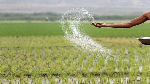 urea.jpg