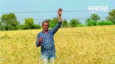 अन्यथा वीजतारांना स्पर्शू करून आत्महत्या करू! 