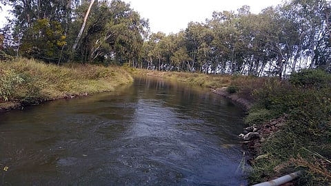 water
