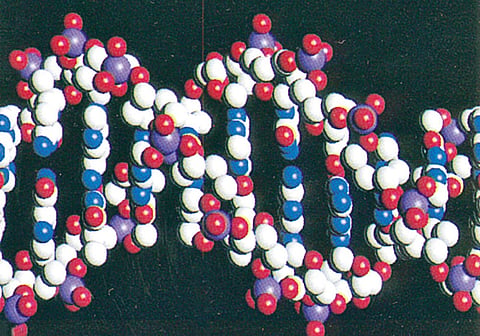 DNA