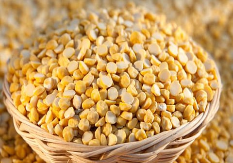 Nagpur Tur Dal Rate