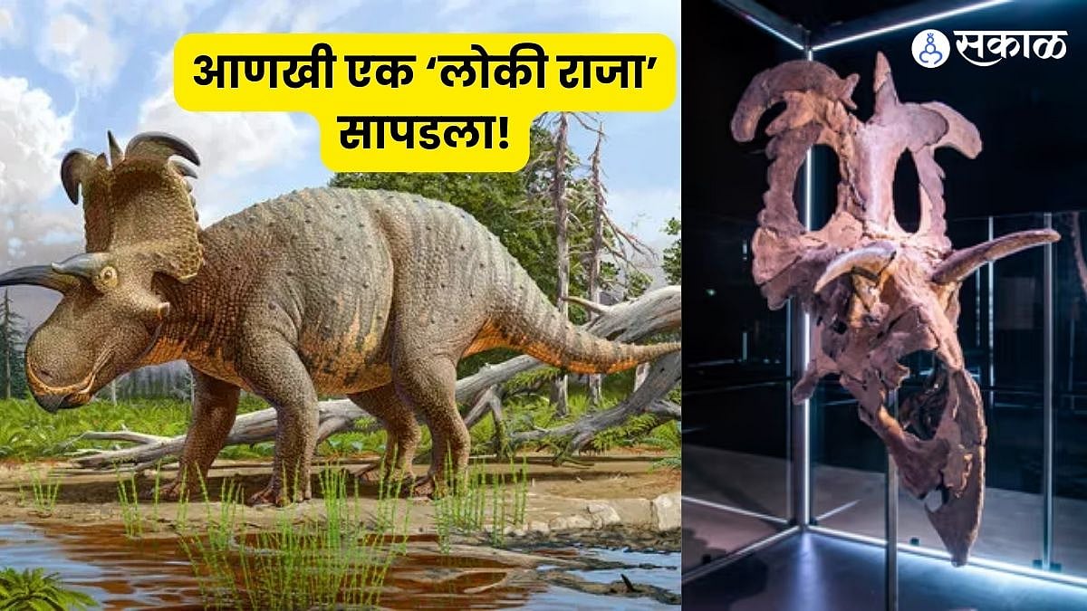 Loki Dinosaur : सुरीसारखी शिंगे, 5 टन वजन; मार्वलमधील 'लोकी'ची आठवण ...