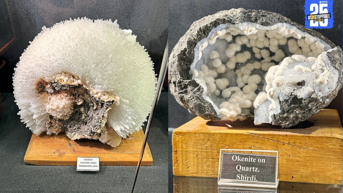 Indian Geology Museum: 'साकूरमधील गारगोटी सिन्नरच्या संग्रहालयात ...