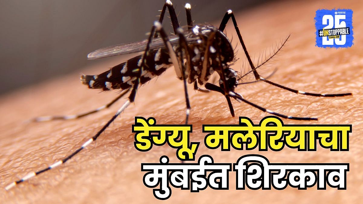 dengue and malaria cases Increasein mumbai | मुंबईत डेंग्यू, मलेरियाचा ...