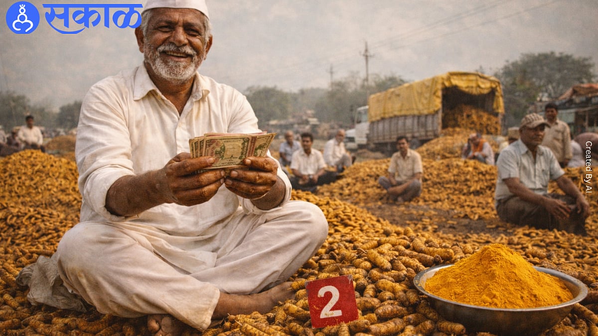 सांगली हळद बाजार: राजापुरी हळदीच्या दराने गाठला उच्चांक, शेतकऱ्यांना ...