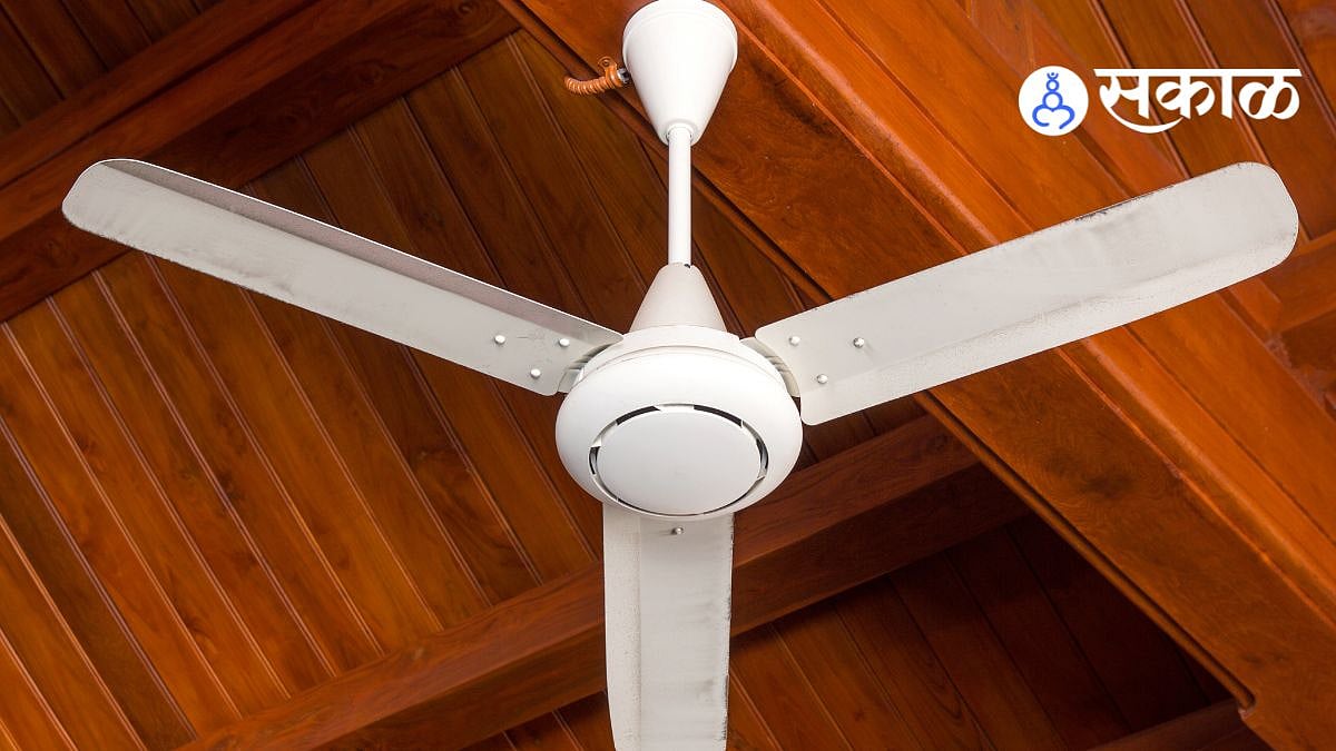 Avoid these 2 mistakes while using Ceiling Fan in home in summer season ...