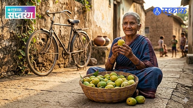 Mango Varieties पारंपरिक रायवळ हापूस माणकूर आंब्यांच्या गोड आठवणी आणि ...