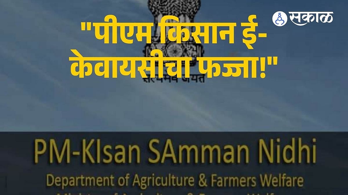 PM Kisan eKYC : तांत्रिक अडचणींनी पीएम किसान ई-केवायसी ठप्प; हजारो शेतकरी हप्त्यापासून वंचित होण्याची भीती