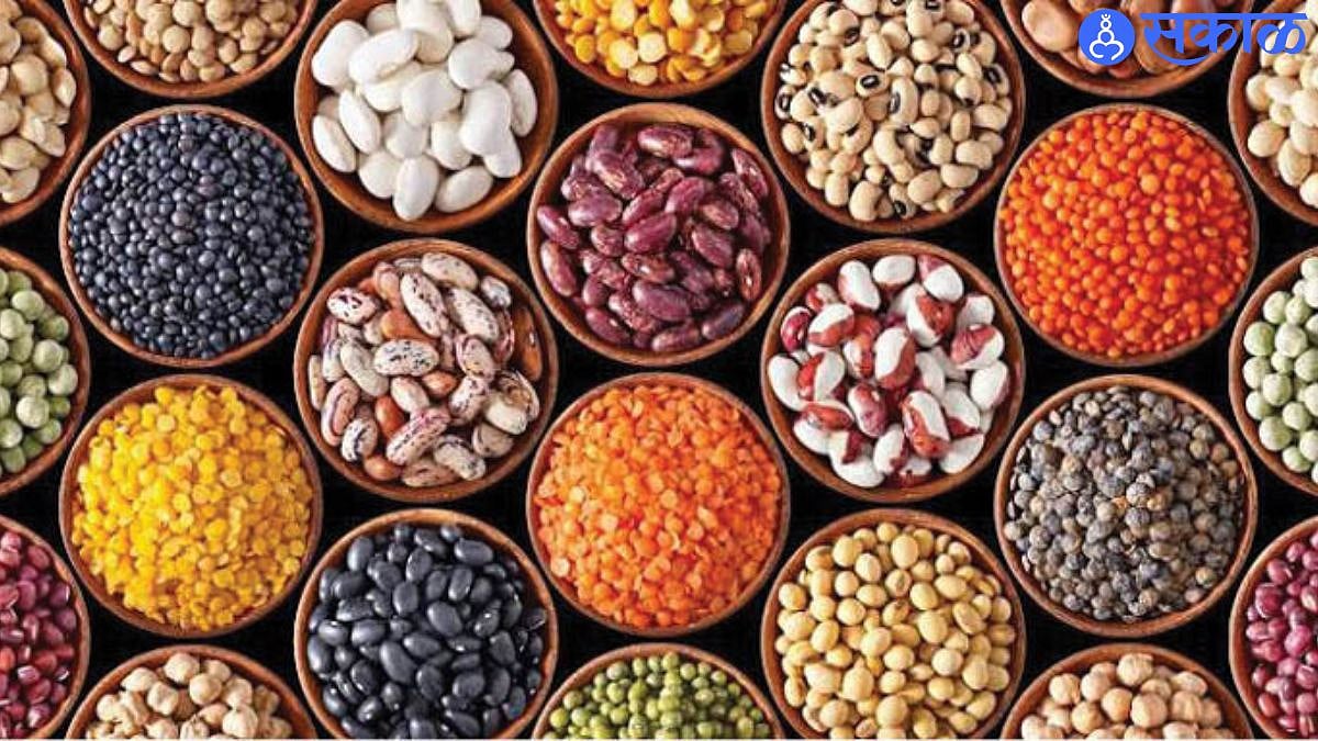 Nagpur Pulse Protein Park, ₹500 Crore Investment, Plant Protein Hub