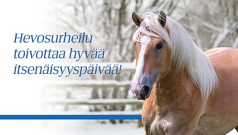 itsenäisyyspäivä