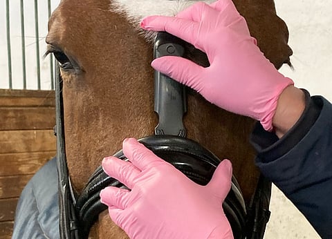 Tässä se nyt on käytössä, turparemmin mittauslaite eli noseband measuring device, mutta vehje ei ole pakollinen Suomessa ainakaan vuoden alusta. 