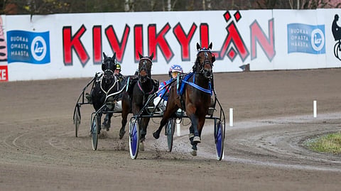 Nuori Suomessa syntynyt lämminverinen tienaa kaikista hevosryhmistä keskimäärin eniten.