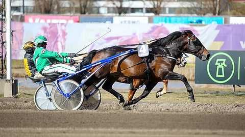 Comistus, Ari Moilanen