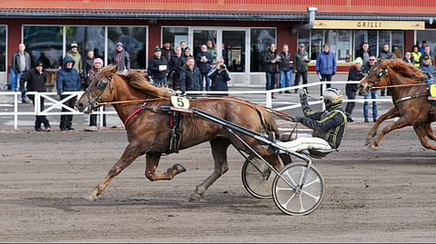 I.P. Kisa ja Ville Koivisto
