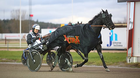 Ravit Ranskassa