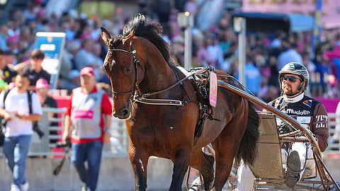 Prix de Paris Vincennes
