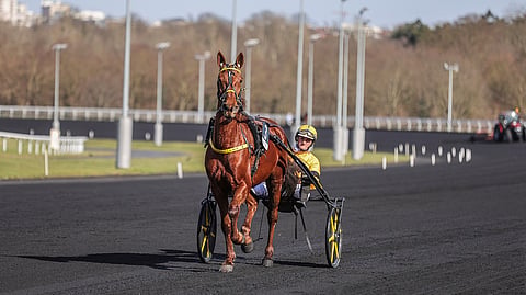 Iroise de la Noe voitti Prix de Belgiquen vakuuttavasti. Mutta miten käy Prix d`Amériquessa?