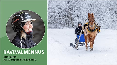 Hevosen kuntouttaminen on yksilöllistä ja monipuolista. 