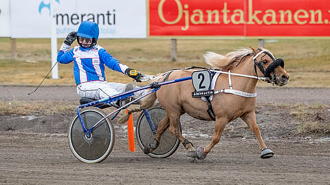 Ponikujan Batriina