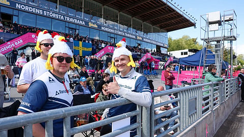 Ravit Elitloppet