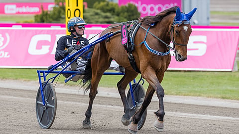 Ravit Ruotsi Elitloppet