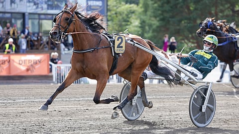 Ze On Alma avaa 5-vuotiskautensa Tammaderbyn karsinnoista ja starttaa Vermossa nelosradalta.
